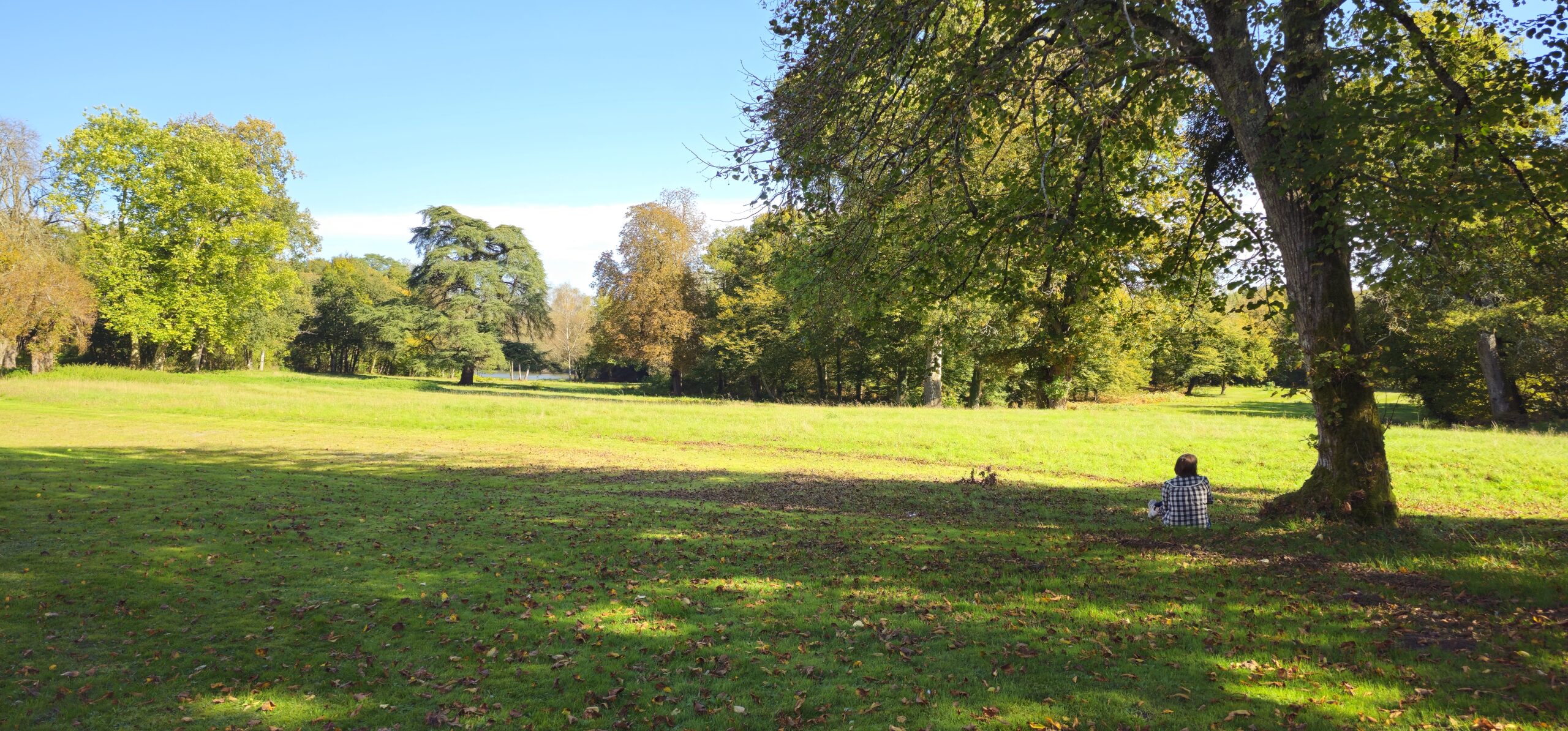 Vue sur le parc du Chateau Chandler, au coeur de la Sologne, Loir et Cher, France