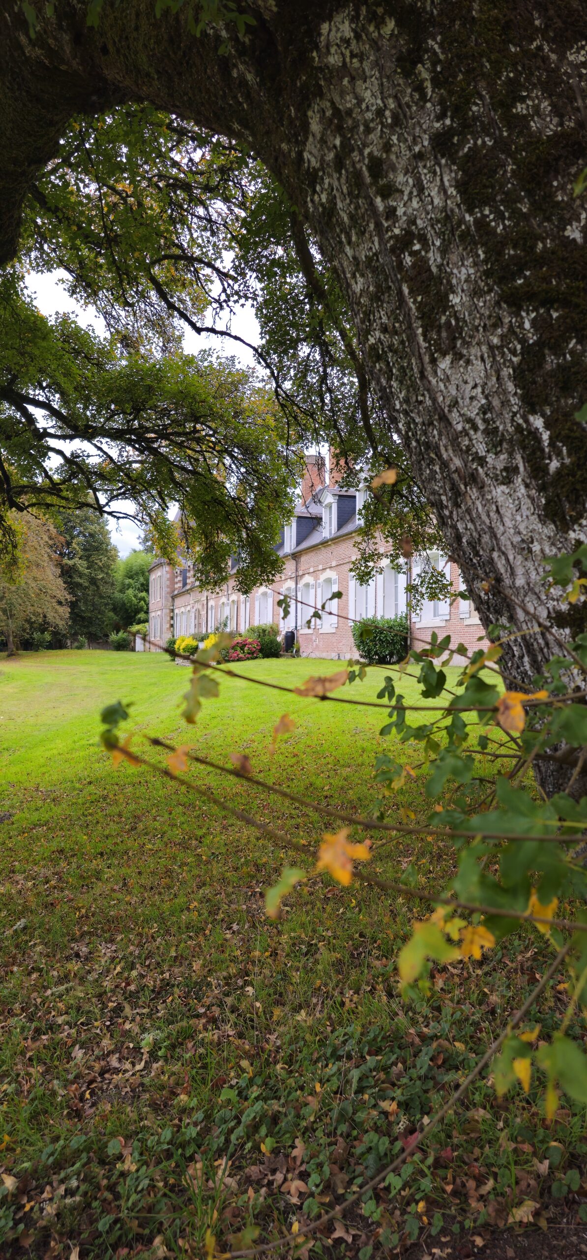 Parc privé du Château Chandler, au coeur de la Sologne