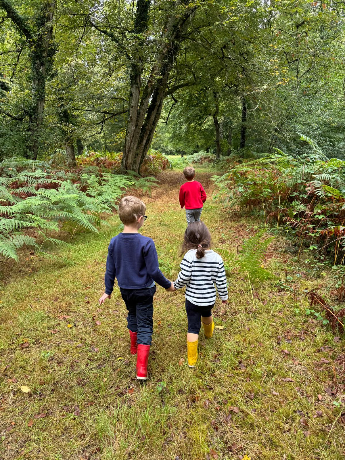 Promenade en Sologne, région des châteaux, castles